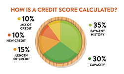 Breakdown of a Credit Score Banner